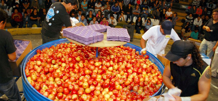 Fiesta Nacional de la Manzana